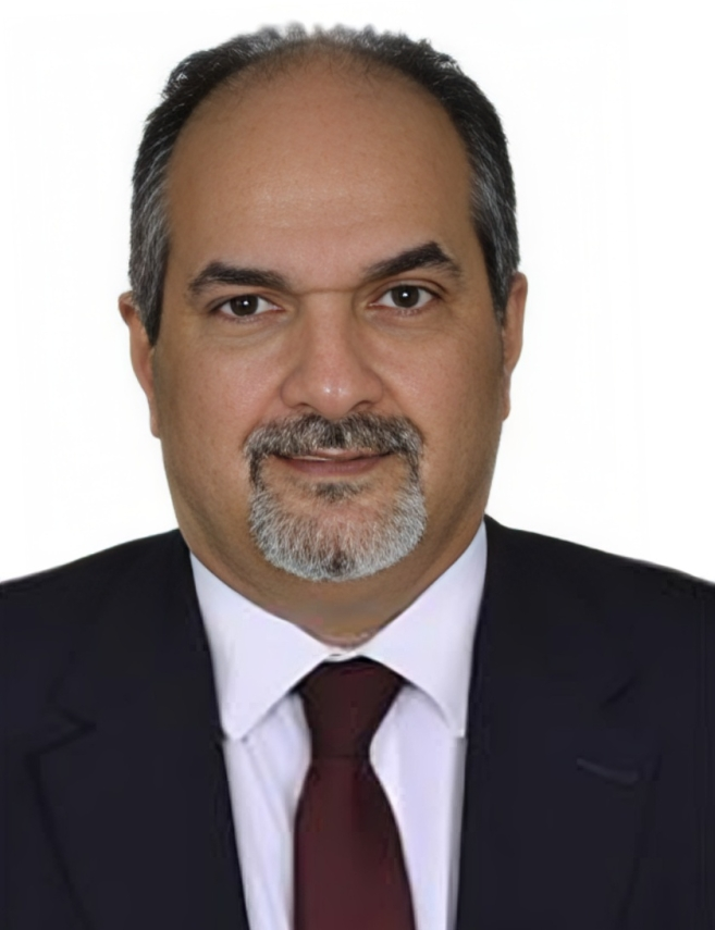 أيمن عبد الحميد