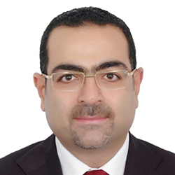 طارق صبرى مترى